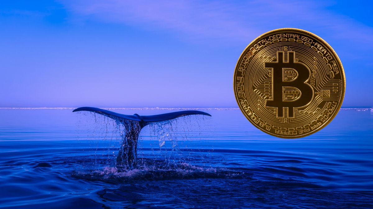 La quinta billetera más grande de bitcoin realizó movimiento de más de $6 mil millones en BTC