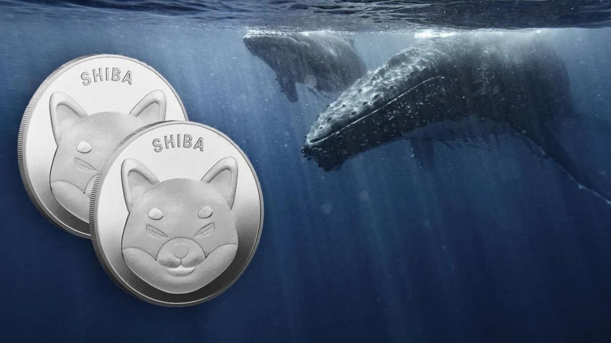 El mundo de las criptomonedas está lleno de giros y sorpresas, y en el centro de la atención se encuentran las misteriosas ballenas de Shiba Inu, moviendo cantidades asombrosas de SHIB a medida que la actividad en Shibarium toma un impulso explosivo