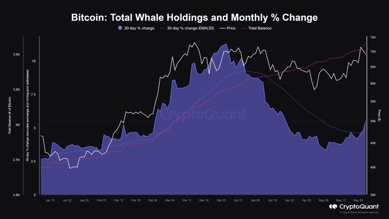 Compras de las ballenas de bitcoin.