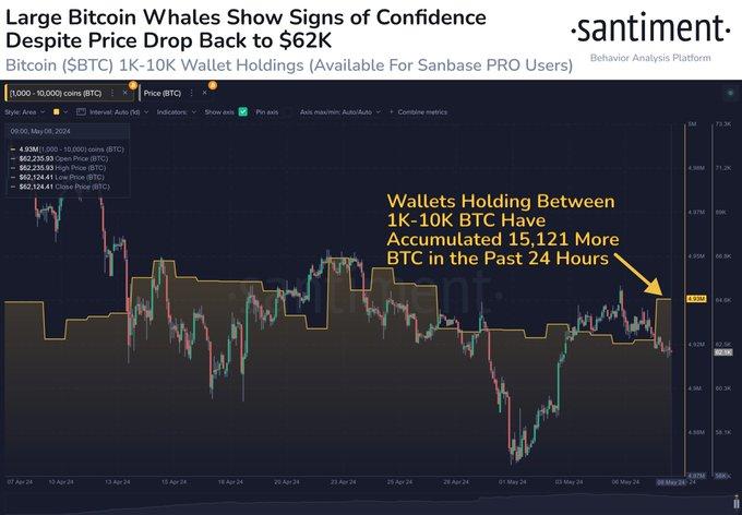 Acumulación de Bitcoin por parte de ballenas.