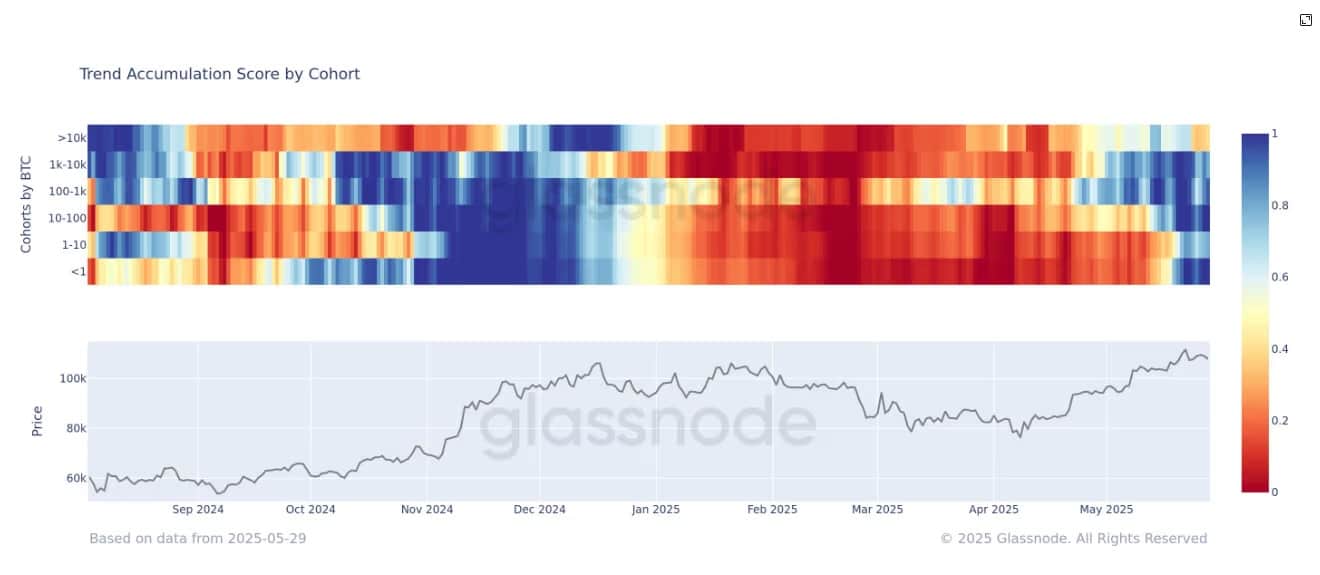 Según el indicador Accumulation Trend Score de Glassnode, el puntaje ha caído a 0.4, lo que representa una clara disminución en la actividad de compra y un aumento de la presión vendedora.