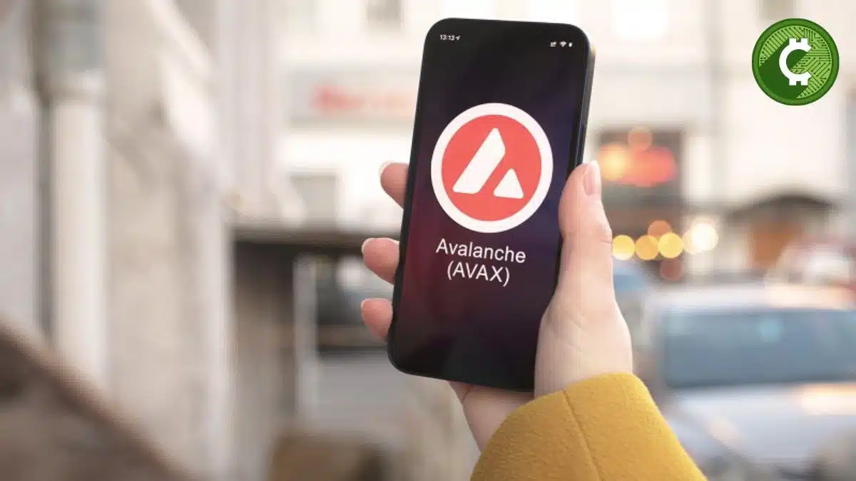 El volumen de los DEX en Avalanche alcanzan $1.3B, impulsados por DeFi y una recaudación institucional liderada por Scaramucci.