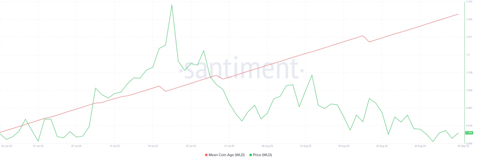 El constante aumento en el promedio de monedas en tenencia (MCA, por sus siglas en inglés) indica que los holders a largo plazo no solo están manteniendo sus posiciones, sino también aumentándolas, lo que refuerza la base para la recuperación continua de WLD.