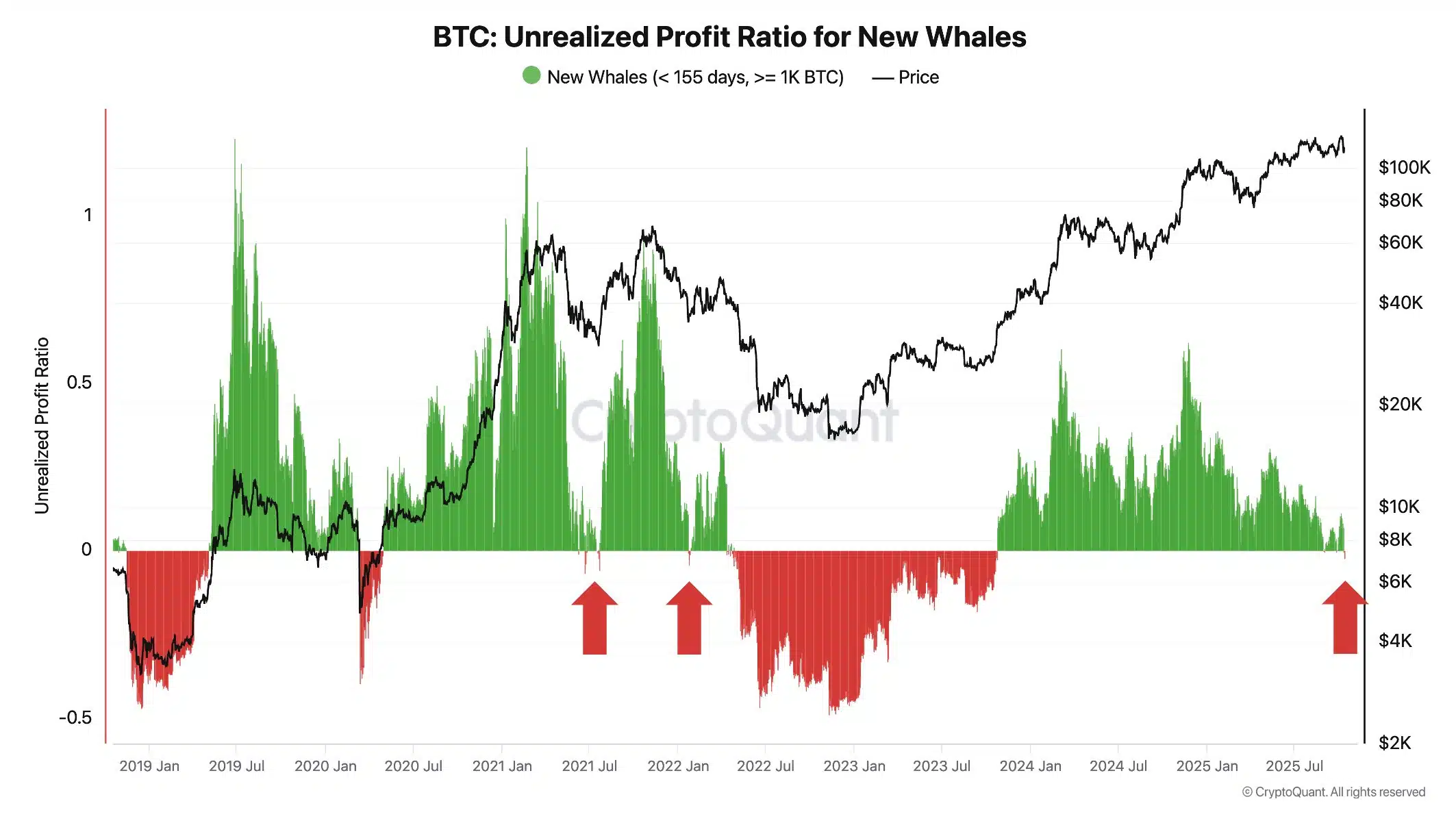 De acuerdo con el gráfico compartido por el analista el 14 de octubre, este ratio acaba de entrar en la zona de pérdidas, una señal conocida como estar “bajo el agua”. En otras palabras, las nuevas ballenas que compraron Bitcoin cerca de su máximo histórico ahora están viendo números rojos en sus carteras.