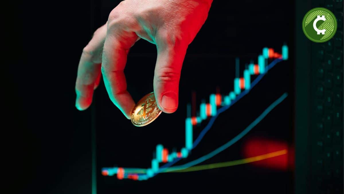 Para ganar dinero con trading necesitas seguir un estilo que se adapte a tu tiempo, personalidad y conocimientos.