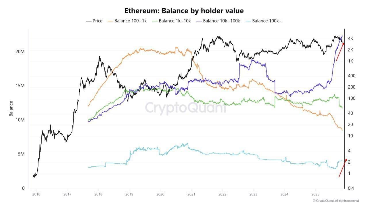 Un segundo conjunto de datos on-chain revela un comportamiento aún más decisivo para el mediano plazo. CryptoQuant reporta una divergencia clara entre los retail holders y las ballenas.