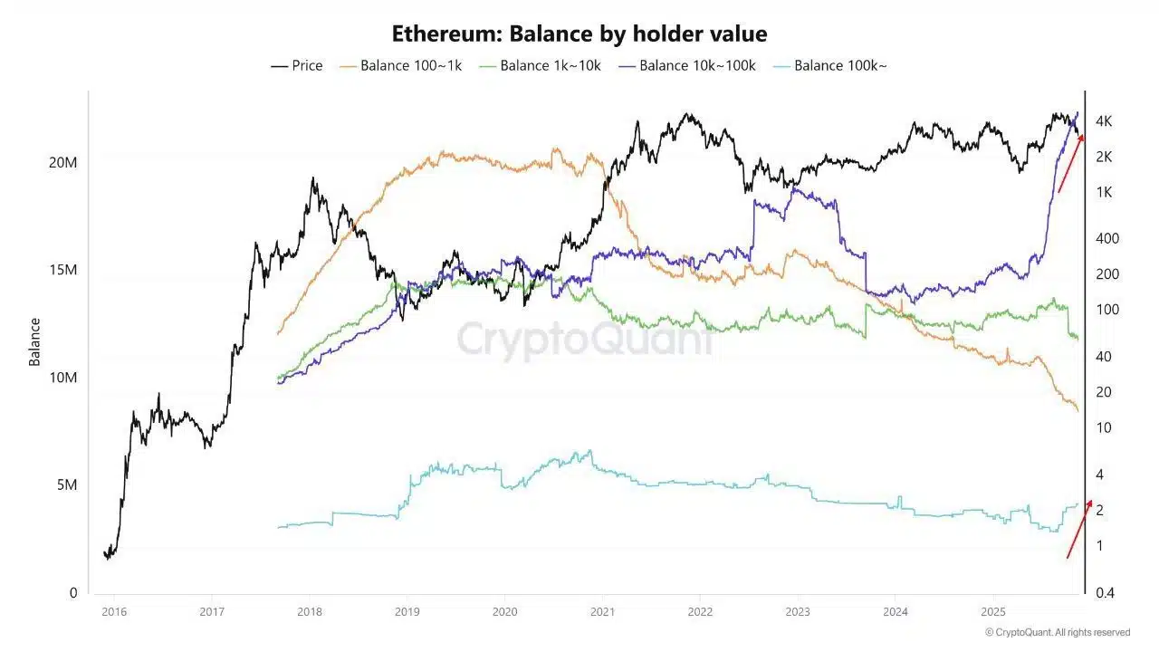 Un segundo conjunto de datos on-chain revela un comportamiento aún más decisivo para el mediano plazo. CryptoQuant reporta una divergencia clara entre los retail holders y las ballenas.
