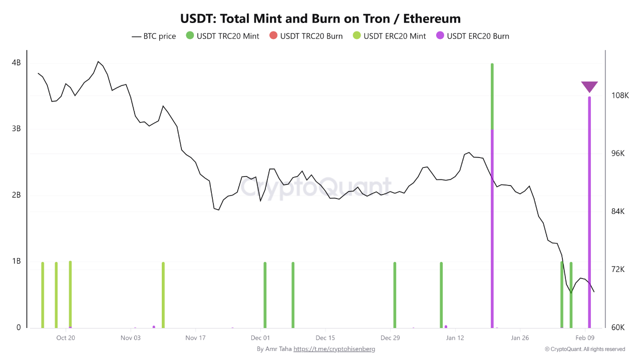Seguimiento de mint y burn de stablecoins.