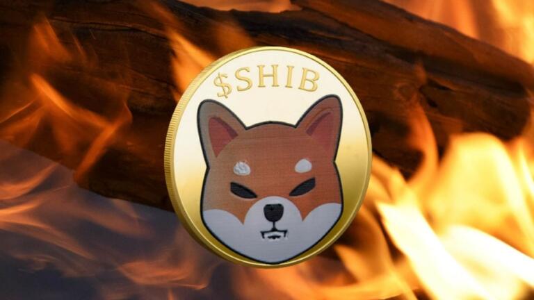 El 41% de los tokens de Shiba Inu (SHIB) han sido destruidos