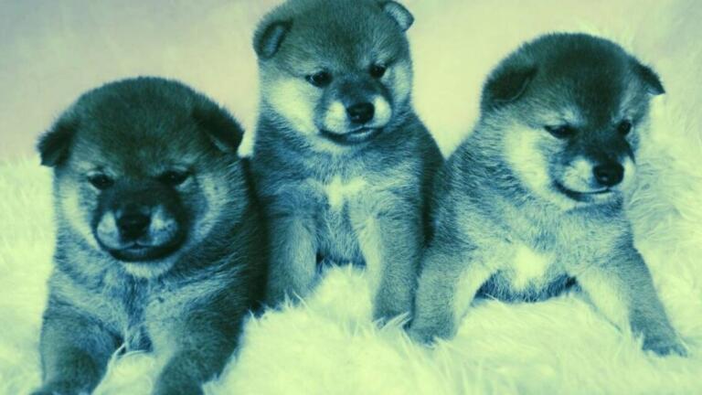 Shiba Inu y Dogecoin llegarán a los cines AMC en marzo