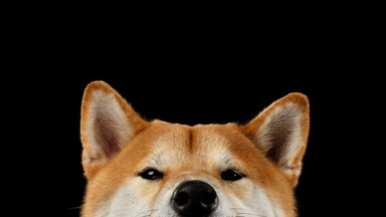El esperado metaverso de Shiba Inu (SHIB) se lanzará hoy