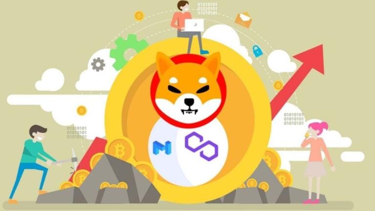 Shiba Inu y Polygon compiten en capitalización de mercado en medio de la explosión de actividad del ecosistema