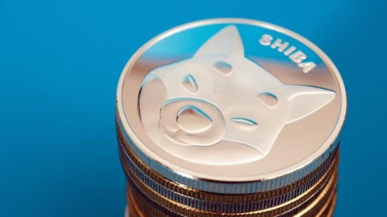 Shiba Inu (SHIB) podría convertir a los inversores en ‘millonarios’ después de 2030, pero hay una trampa
