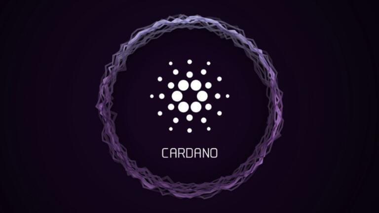 La red Cardano sumó más de 500.000 billeteras en lo que va del año