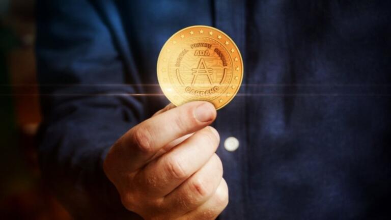 Las billeteras activas de Cardano (ADA) superan los 3 millones; Un sorprendente aumento interanual del 1000%