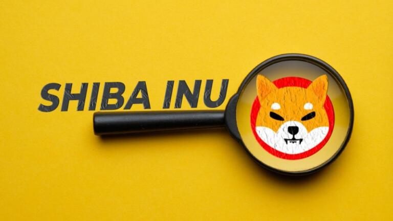ShibaSwap 2.0 se lanzará pronto e incluira una función que permitirá quemar tokens SHIB