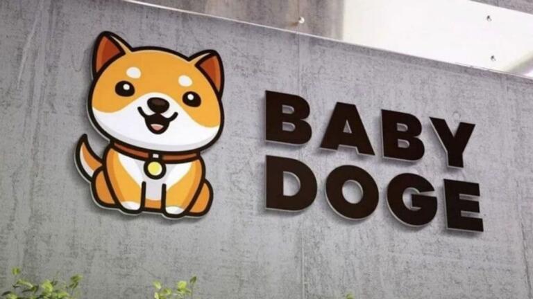 La red BabyDoge ha quemado activos por valor de 13 millones de dólares