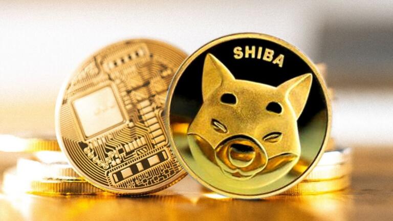 Crypto Twitter le pide a Airbnb que acepte Shiba Inu (SHIB)