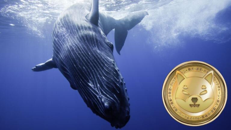 La ballena más grande de ETH acaba de comprar 442,6 mil millones de SHIB y ahora posee más de 1 billón de tokens