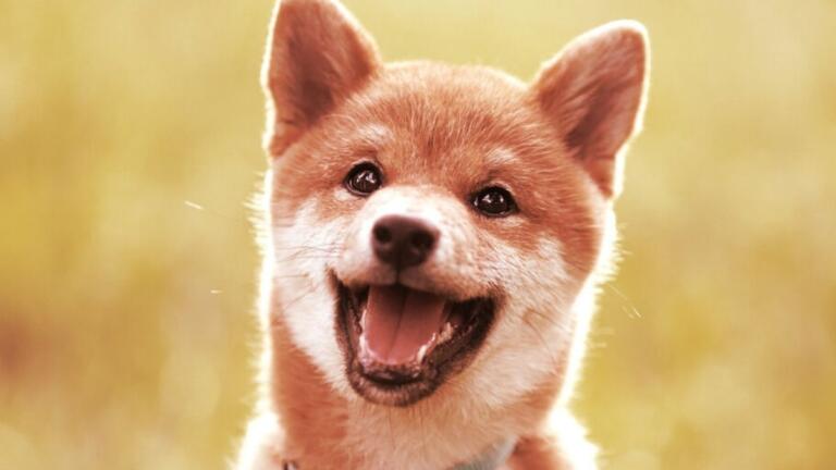 ¿Es BabyDoge el nuevo favorito de las ballenas BSC?