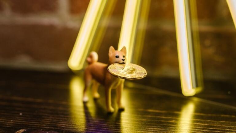 20 mil millones de tokens Shiba Inu fueron quemados en una semana