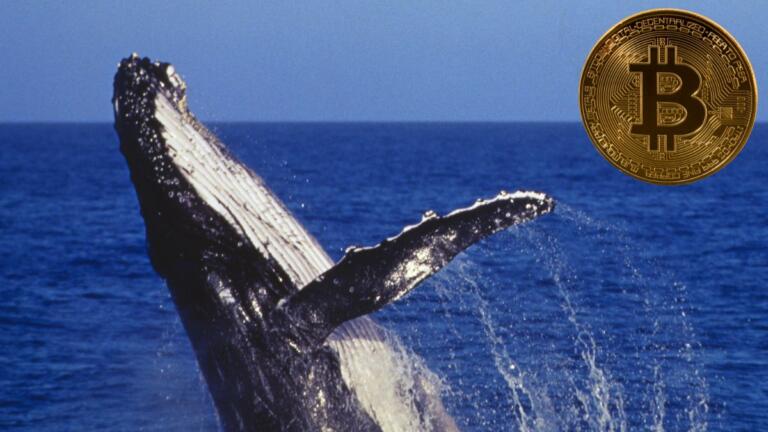 Las ballenas de Bitcoin siguen acumulando BTC a pesar de la lucha del mercado
