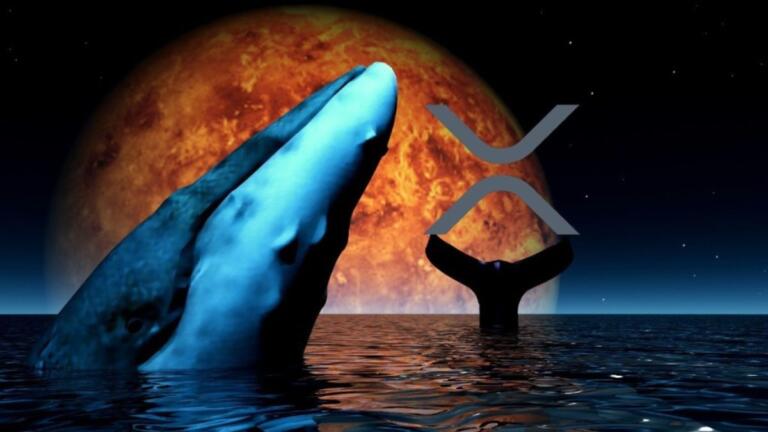 Ballena arroja 5 millones de XRP al mercado y abandona el proyecto