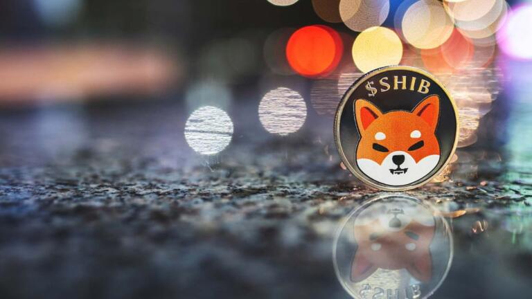 Desarrollador principal de Shiba Inu (SHIB) podría abandonar pronto el proyecto