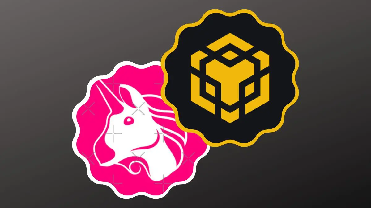 Hace unos días, la comunidad de Uniswap votó a través de una instantánea sobre la propuesta de llevar el DEX también a BNB Chain.
