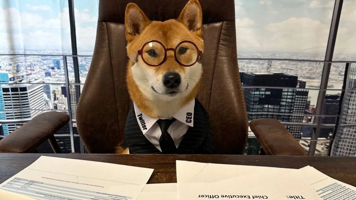 La pasión de Elon Musk por su mascota, un perro Shiba, se volvió viral en Twitter luego de que publicara una nueva foto de la mascota. Aun así, el multimillonario influyó sin querer en la aparición de 29 criptomonedas sospechosas en el mercado.