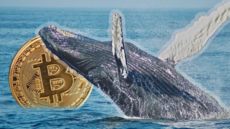 Ballenas misteriosas de Bitcoin son las posibles causantes del reciente aumento