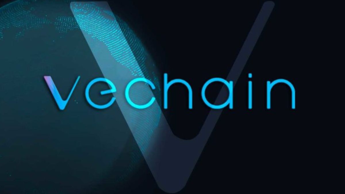 El protocolo VeChain (VET), una red de contrato inteligente versátil de nivel empresarial de capa 1 (L1), ha registrado un crecimiento significativo en la actividad en cadena.