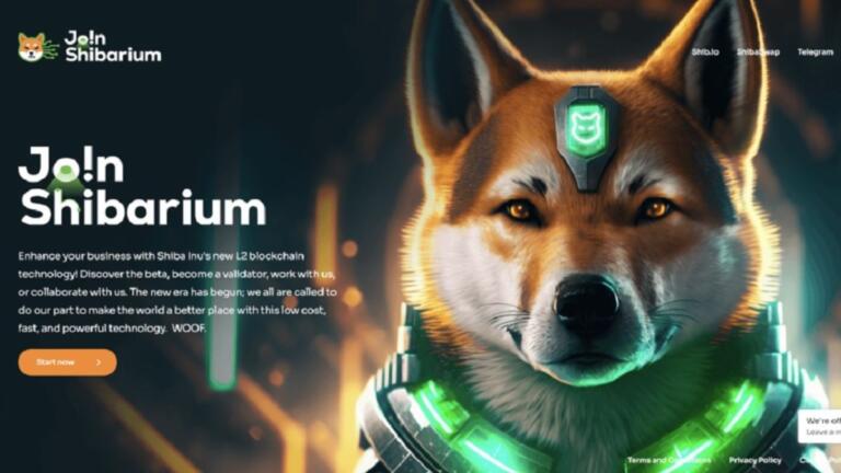 Shiba Inu sorprende con su nuevo sitio web y SHIB se recupera