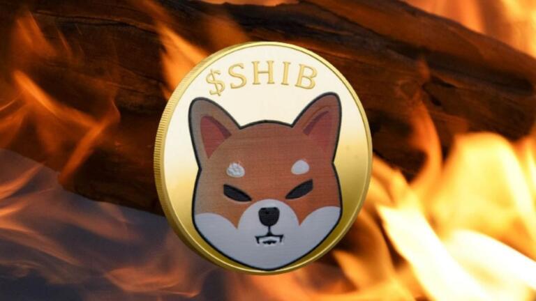 Shiba Inu en fuego: Tasa de quema se dispara un +3.900% en medio de la caída del mercado