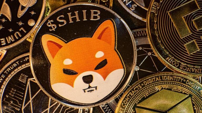 Grandes cantidades de SHIB han sido retirados de exchanges
