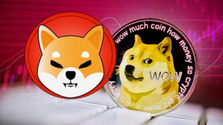 ¿Shiba Inu superará a Dogecoin en el mercado de criptomonedas?