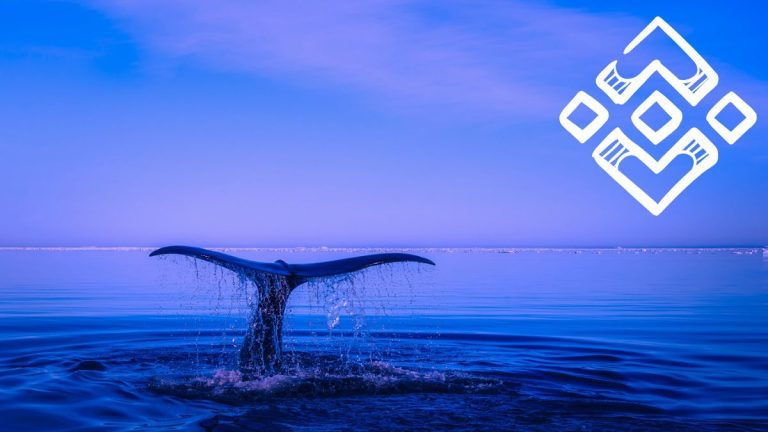 Ballena vendió $2.3 millones de dólares en BNB