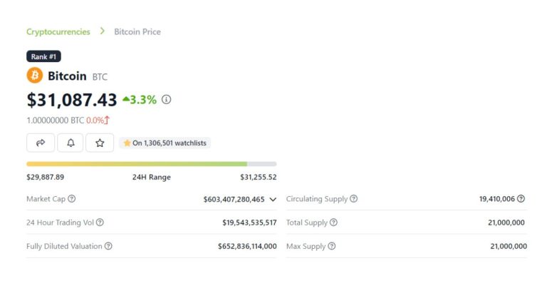 Bitcoin rompe los $31.000 dólares alcanzando nuevo máximo anual