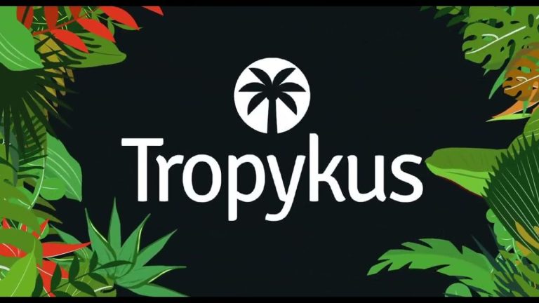 Hackeo sacude la plataforma DeFi colombiana Tropykus Finance