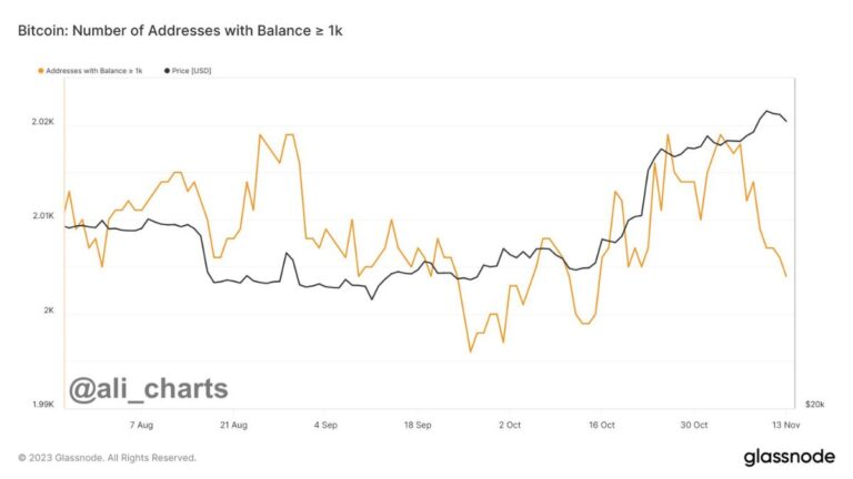 Ballenas de Bitcoin capitalizan en grande: $2 mil millones en ganancias en un auge impulsado por BlackRock