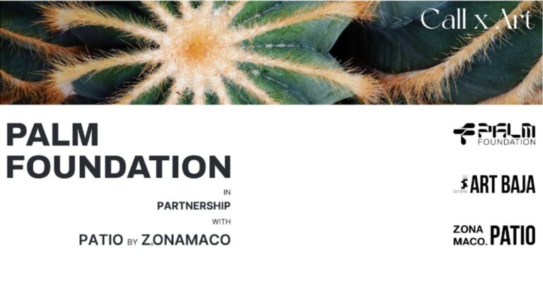 La Fundación Palm ofrece una subvención de $45,000 a artistas exhibidos en el Patio de ZsONAMACO