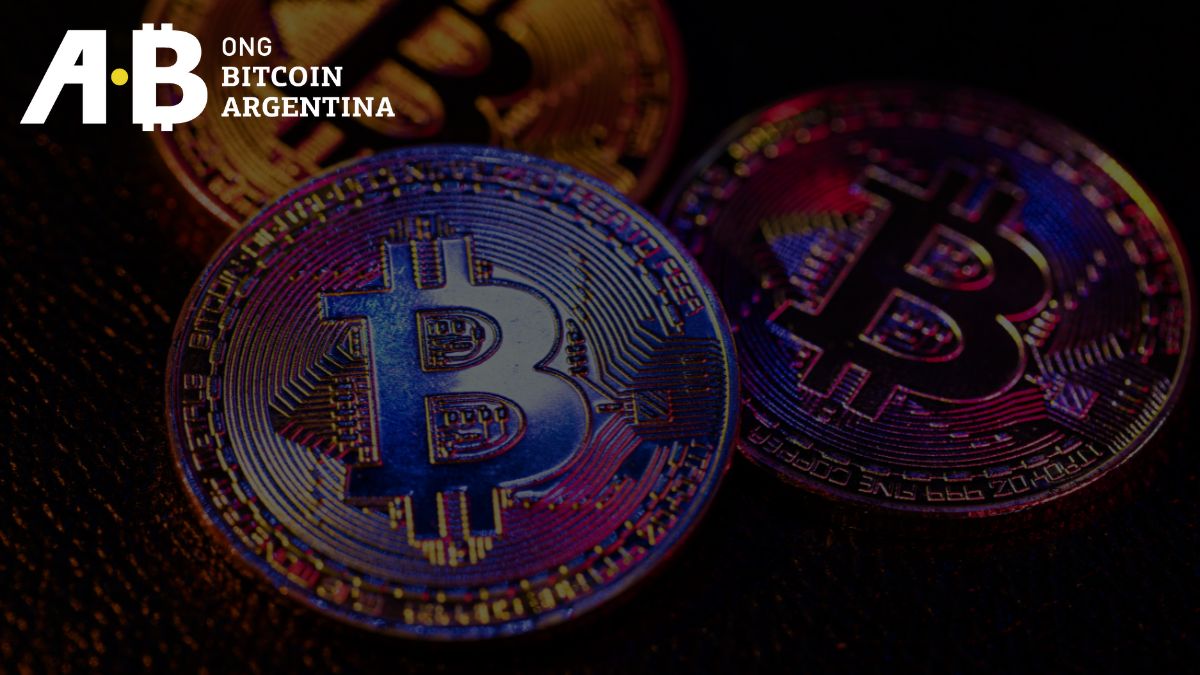 ONG Bitcoin Argentina alerta a los bitcoiners a ampararse en las garantías constitucionales vigentes en Argentina ante la persecución a la auto custodia de bitcoin por parte de EE. UU.