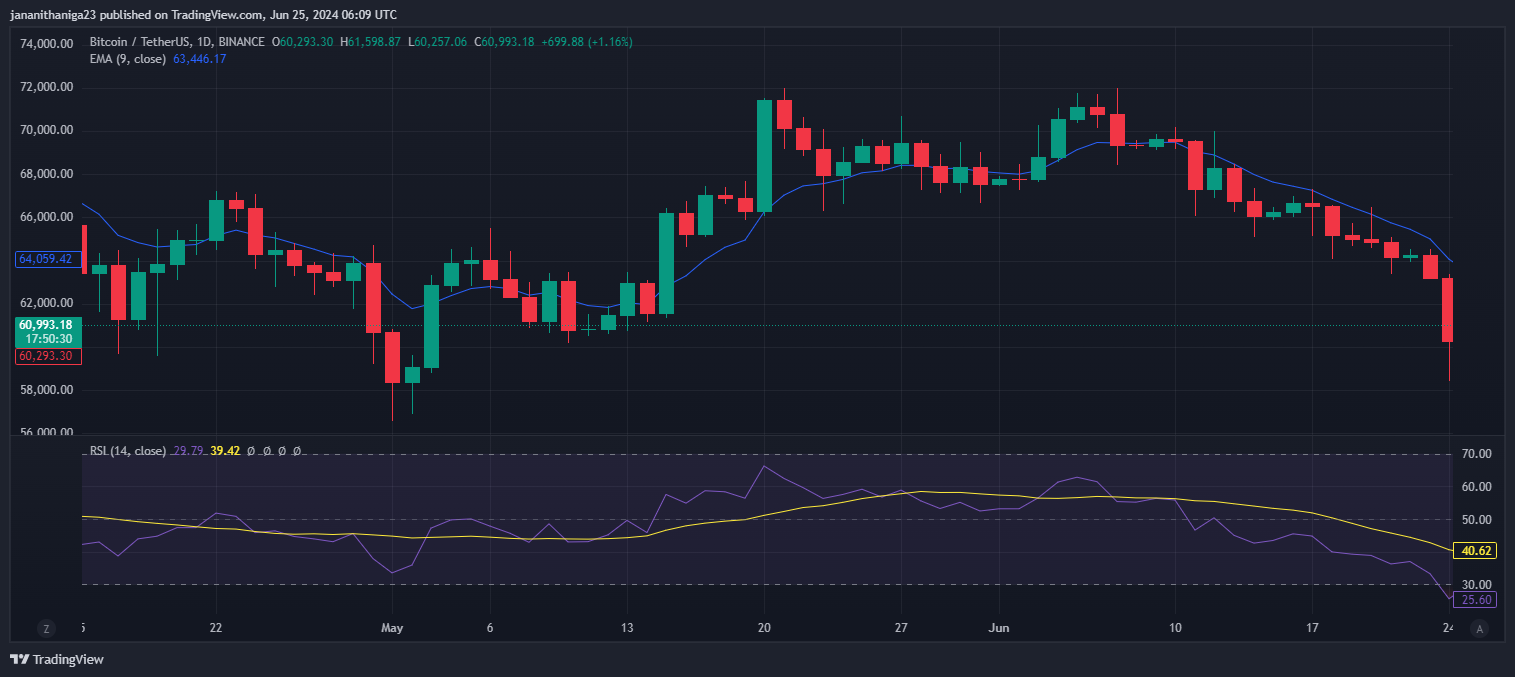 Gráfico del precio de BTC.