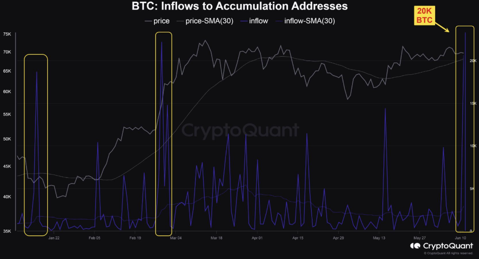 Acumulación de bitcoin por parte de ballenas.