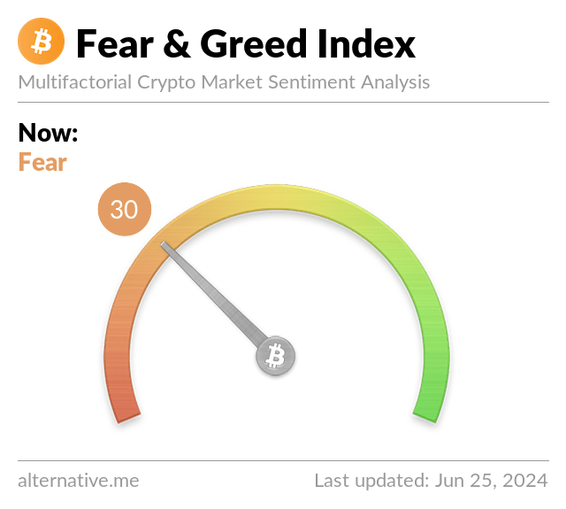 Bitcoin Fear and Greed Index is 30