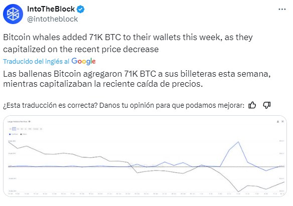 Compras de ballenas de bitcoin.