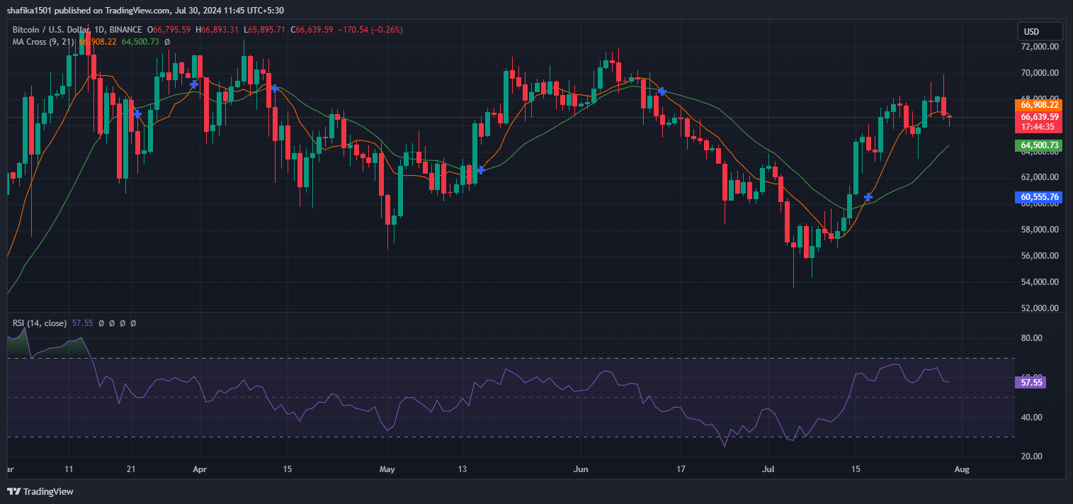 Gráfico del precio de btc.