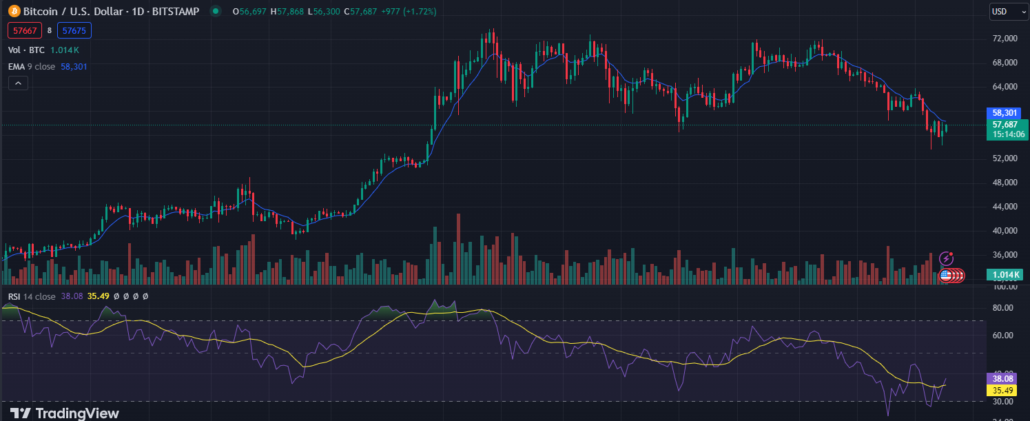 Gráfico del precio de BTC.