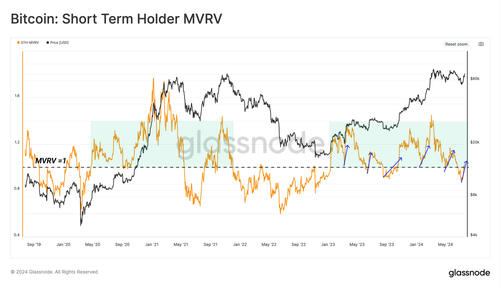 holders a corto plazo de bitcoin