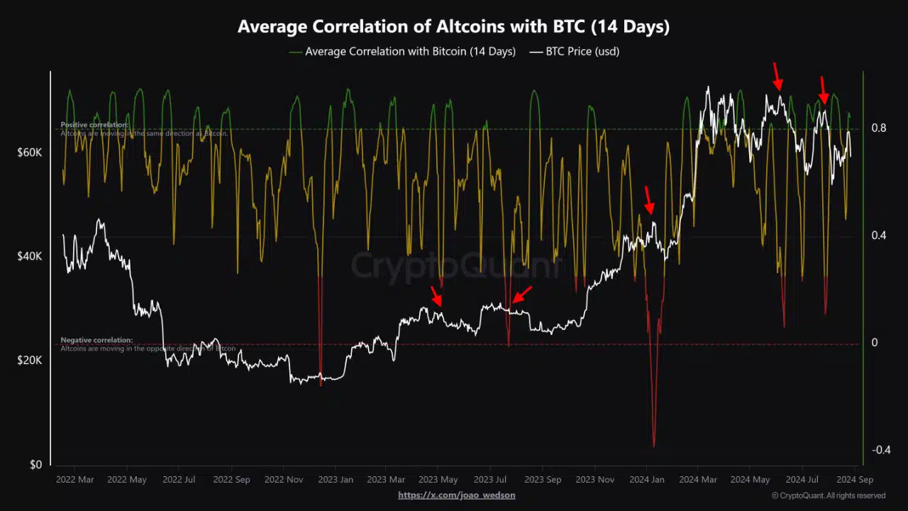 Correclación entre bitcoin y altcoins.